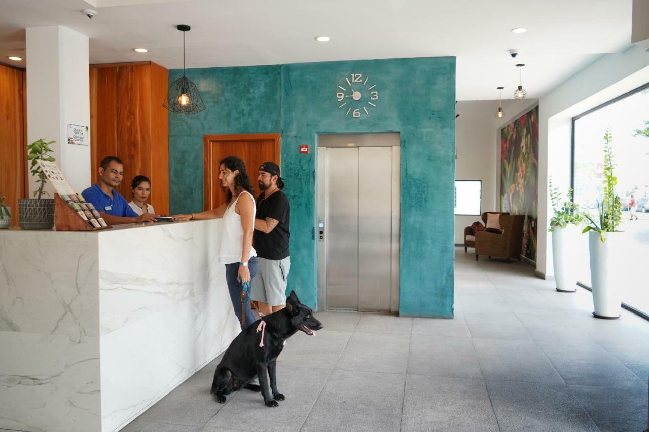 Hotel & Suites Arges - Centro Chetumal Dış mekan fotoğraf